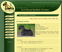 Euri-Escot - chovná stanice skotských teriérů